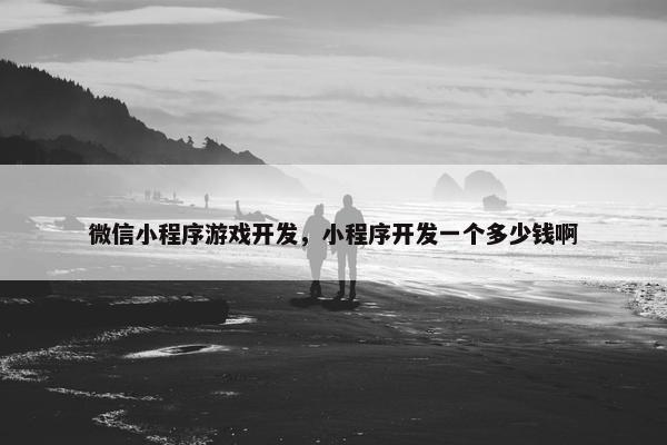 微信小程序游戏开发，小程序开发一个多少钱啊