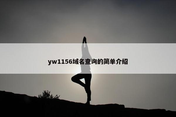 yw1156域名查询的简单介绍