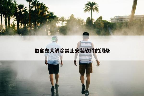 包含东大解除禁止安装软件的词条