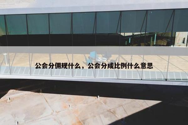 公会分佣规什么，公会分成比例什么意思