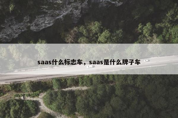 saas什么标志车，saas是什么牌子车