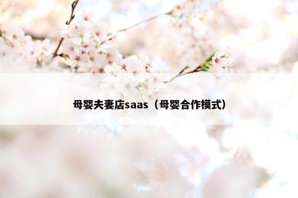 母婴夫妻店saas（母婴合作模式）