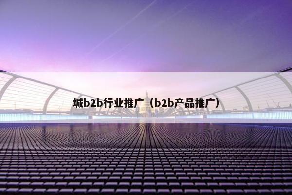 城b2b行业推广（b2b产品推广）