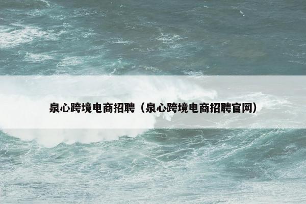 泉心跨境电商招聘（泉心跨境电商招聘官网）