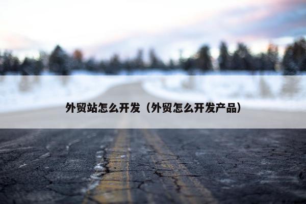 外贸站怎么开发（外贸怎么开发产品）