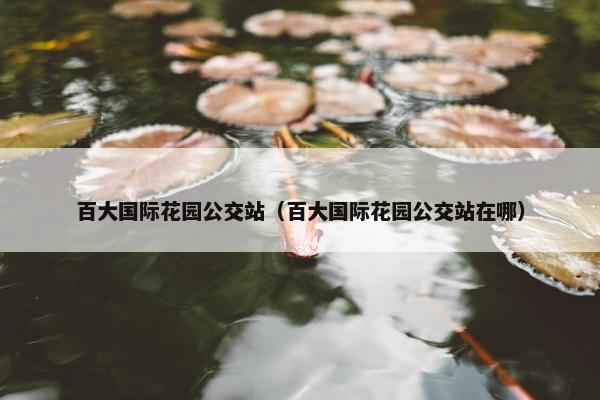 百大国际花园公交站（百大国际花园公交站在哪）