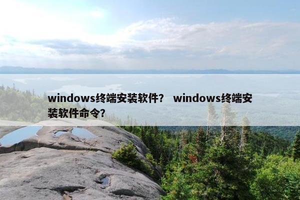 windows终端安装软件？ windows终端安装软件命令？