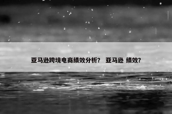 亚马逊跨境电商绩效分析？ 亚马逊 绩效？