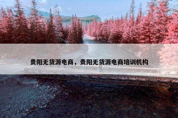 贵阳无货源电商，贵阳无货源电商培训机构