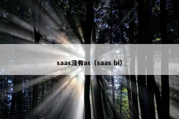 saas没有as（saas bi）