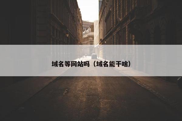 域名等网站吗（域名能干啥）
