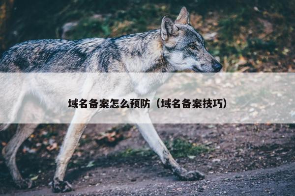 域名备案怎么预防（域名备案技巧）