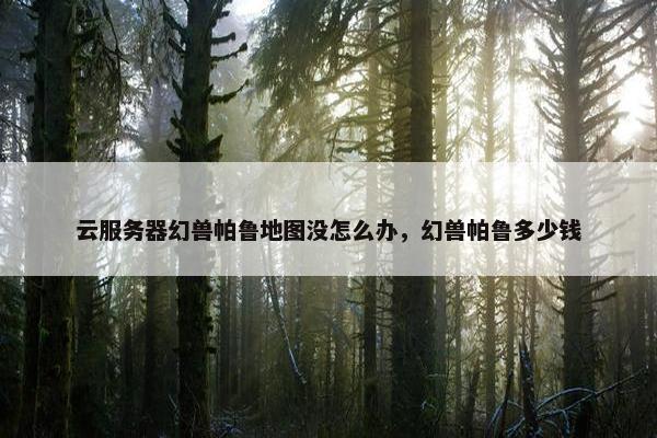 云服务器幻兽帕鲁地图没怎么办，幻兽帕鲁多少钱