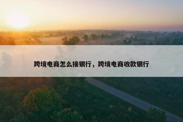 跨境电商怎么接银行，跨境电商收款银行