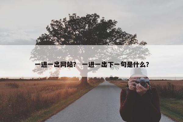 一进一出网站？ 一进一出下一句是什么？