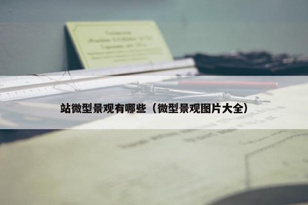 站微型景观有哪些（微型景观图片大全）
