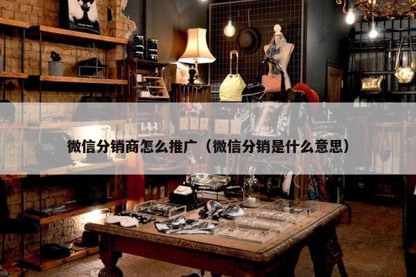 微信分销商怎么推广（微信分销是什么意思）