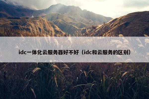 idc一体化云服务器好不好（idc和云服务的区别）