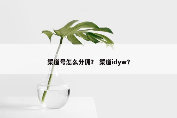 渠道号怎么分佣？ 渠道idyw？