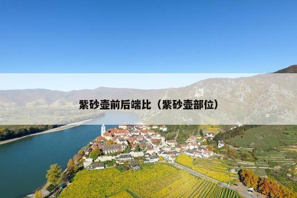 紫砂壶前后端比（紫砂壶部位）