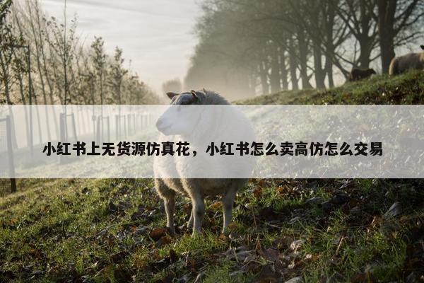 小红书上无货源仿真花，小红书怎么卖高仿怎么交易