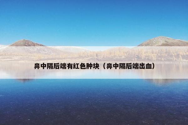 鼻中隔后端有红色肿块（鼻中隔后端出血）