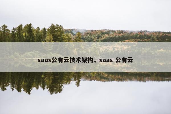 saas公有云技术架构，saas 公有云