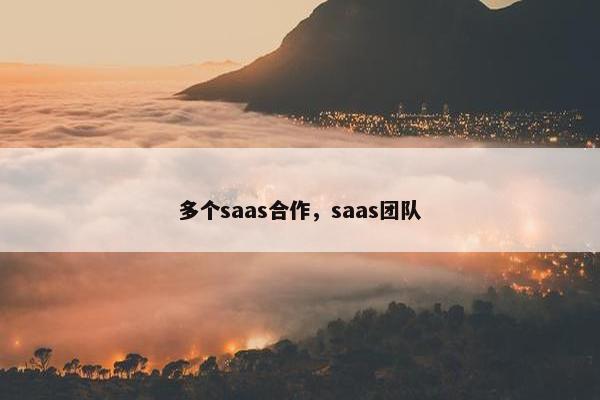 多个saas合作，saas团队