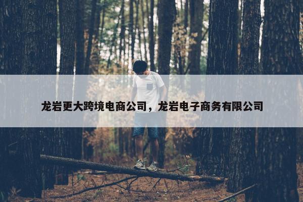 龙岩更大跨境电商公司，龙岩电子商务有限公司