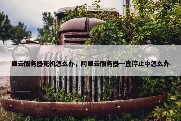 里云服务器死机怎么办，阿里云服务器一直停止中怎么办