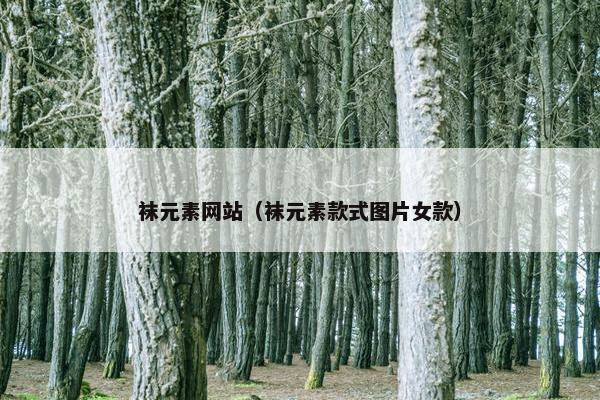 袜元素网站（袜元素款式图片女款）
