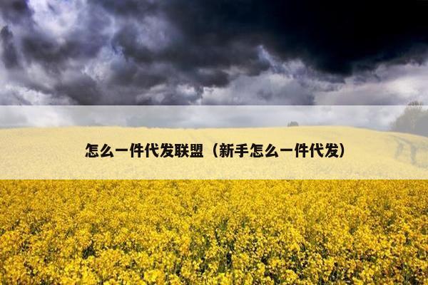 怎么一件代发联盟（新手怎么一件代发）