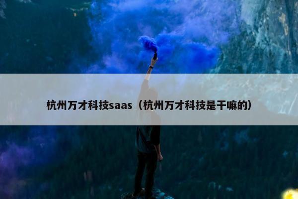 杭州万才科技saas（杭州万才科技是干嘛的）
