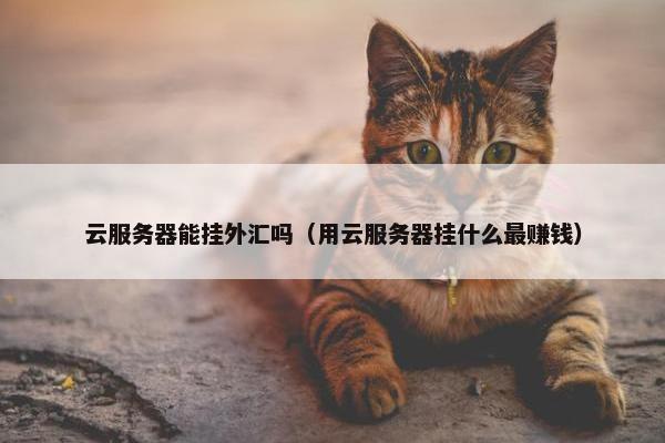 云服务器能挂外汇吗（用云服务器挂什么最赚钱）