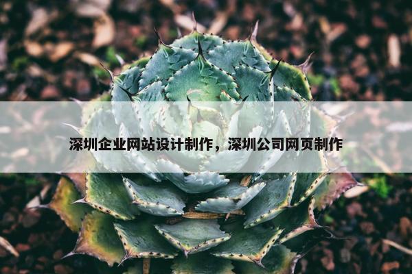 深圳企业网站设计制作，深圳公司网页制作