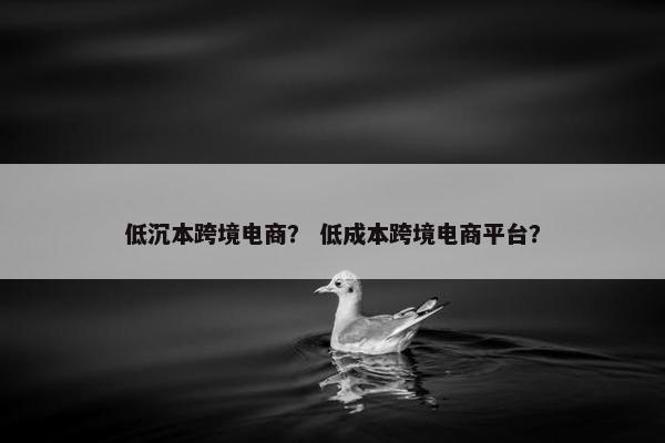 低沉本跨境电商？ 低成本跨境电商平台？