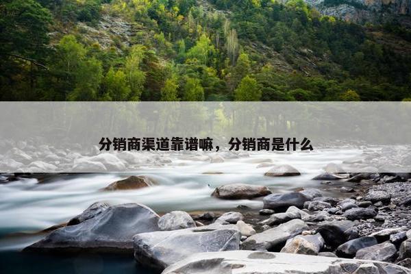 分销商渠道靠谱嘛，分销商是什么