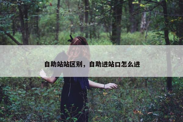 自助站站区别，自助进站口怎么进