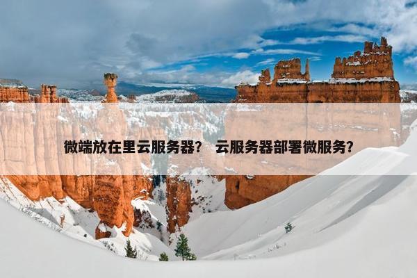 微端放在里云服务器？ 云服务器部署微服务？