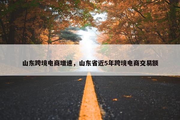 山东跨境电商增速，山东省近5年跨境电商交易额