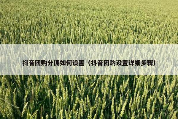 抖音团购分佣如何设置（抖音团购设置详细步骤）