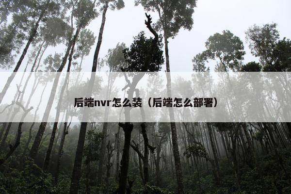 后端nvr怎么装（后端怎么部署）