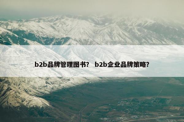 b2b品牌管理图书？ b2b企业品牌策略？