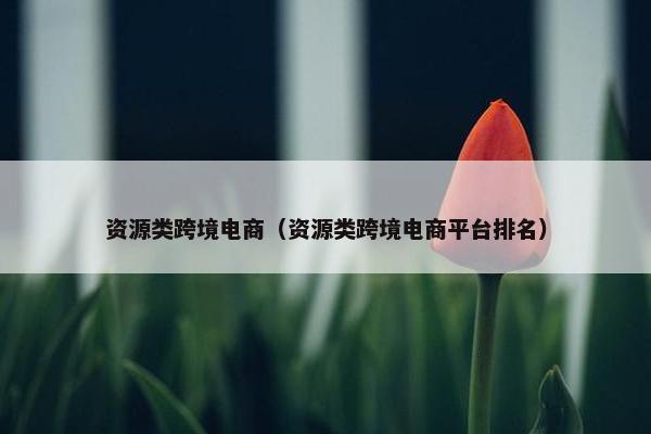 资源类跨境电商（资源类跨境电商平台排名）