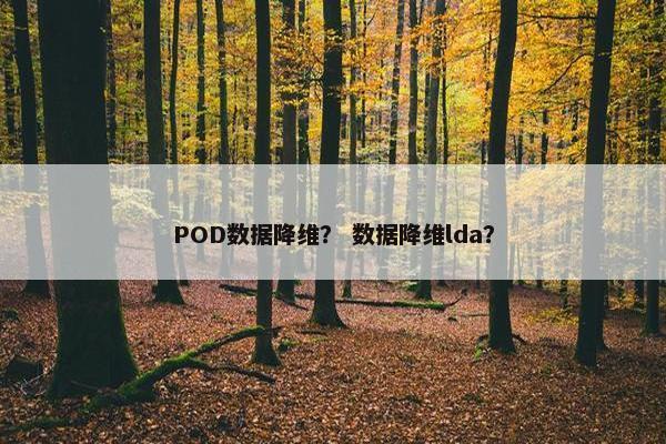 POD数据降维？ 数据降维lda？