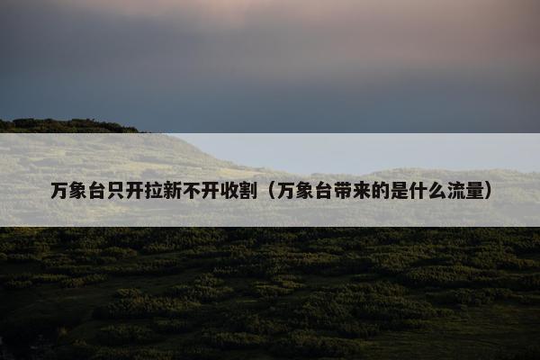 万象台只开拉新不开收割（万象台带来的是什么流量）