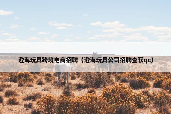 澄海玩具跨境电商招聘（澄海玩具公司招聘查获qc）