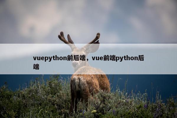 vuepython前后端，vue前端python后端