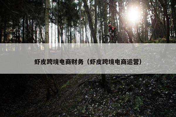 虾皮跨境电商财务（虾皮跨境电商运营）