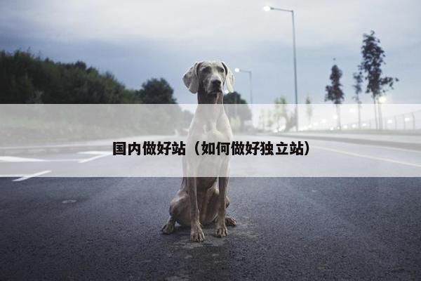 国内做好站（如何做好独立站）